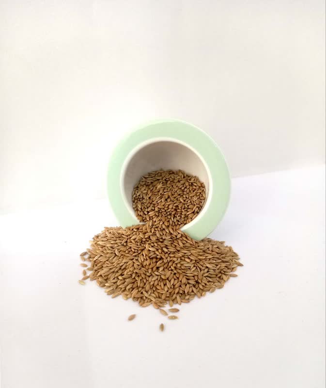 کتان زرد اردبیلی
